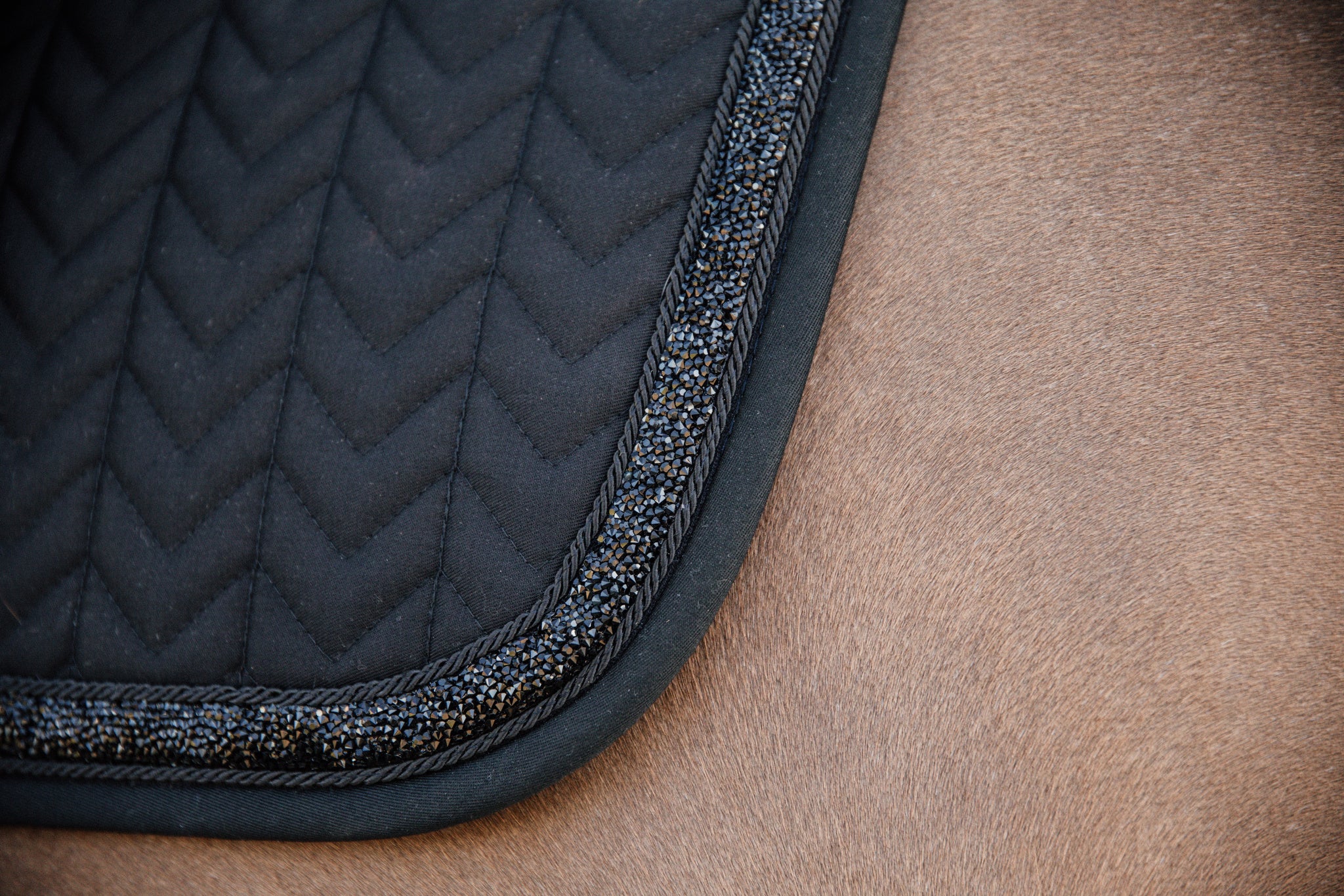 Kentucky’s Saddle Pad Glitter Stone jumping pad is stunning. The stones ooze sophistication and style. The pad is shaped for jumping and provides excellent cushioning between the horse while protecting against friction.