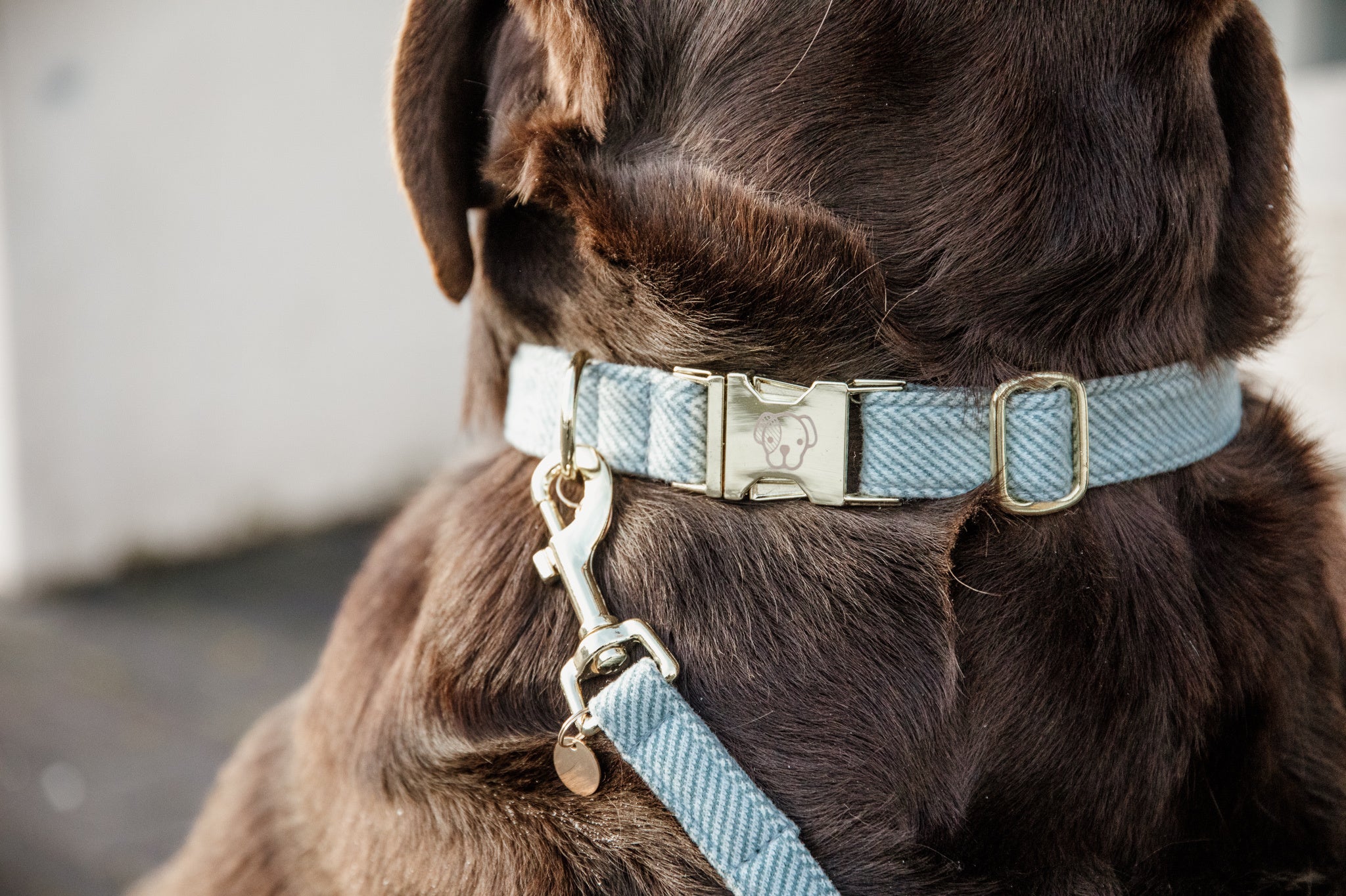 This Kentucky Dog Collar Wool will give your dog a sophisticated look in any circumstances! The diagonal stipe fabric on the outside gives it a wool like aspect, without using any animal ingredient. On the inside, the collar is reinforced with nylon to assure comfort and extra strength.