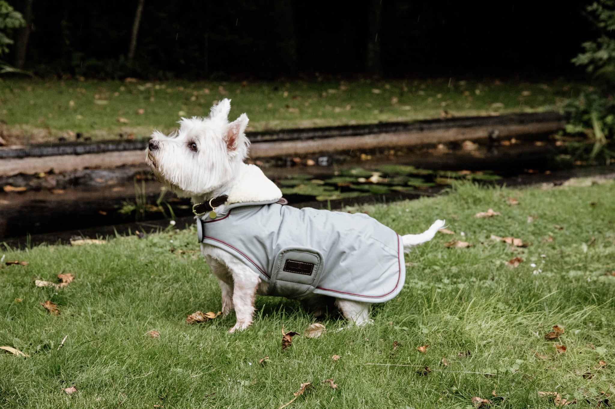 The Kentucky Grey Waterproof Dog Coat offers every dog a dry, warm rug during the cold and wet winter days. Filled with a warming 160g and also featuring an artificial faux fur lining for extra comfort. This also creates tiny air pockets that trap and retain the body heat of the dog.