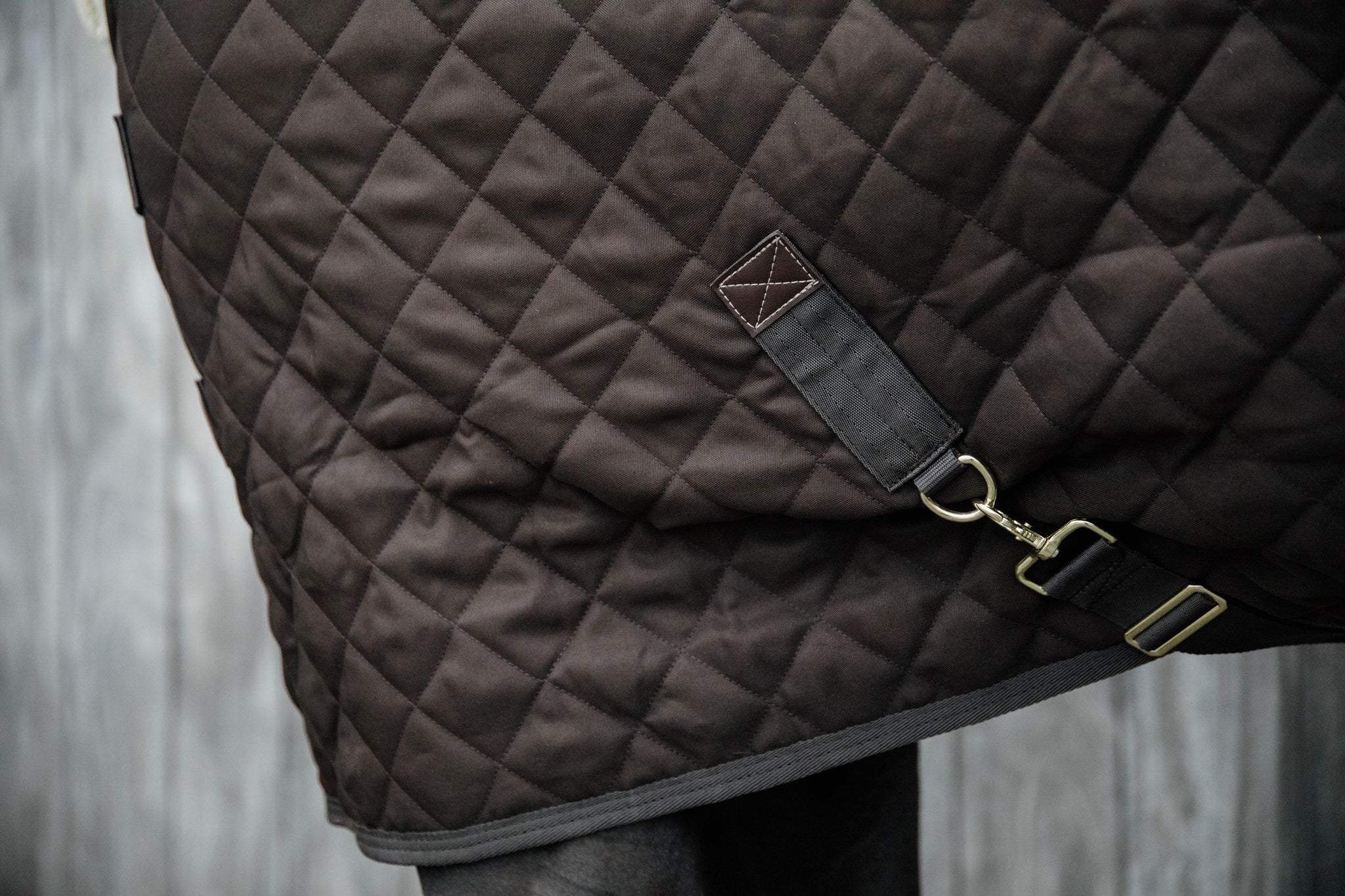 Kentucky Show Rug Brown