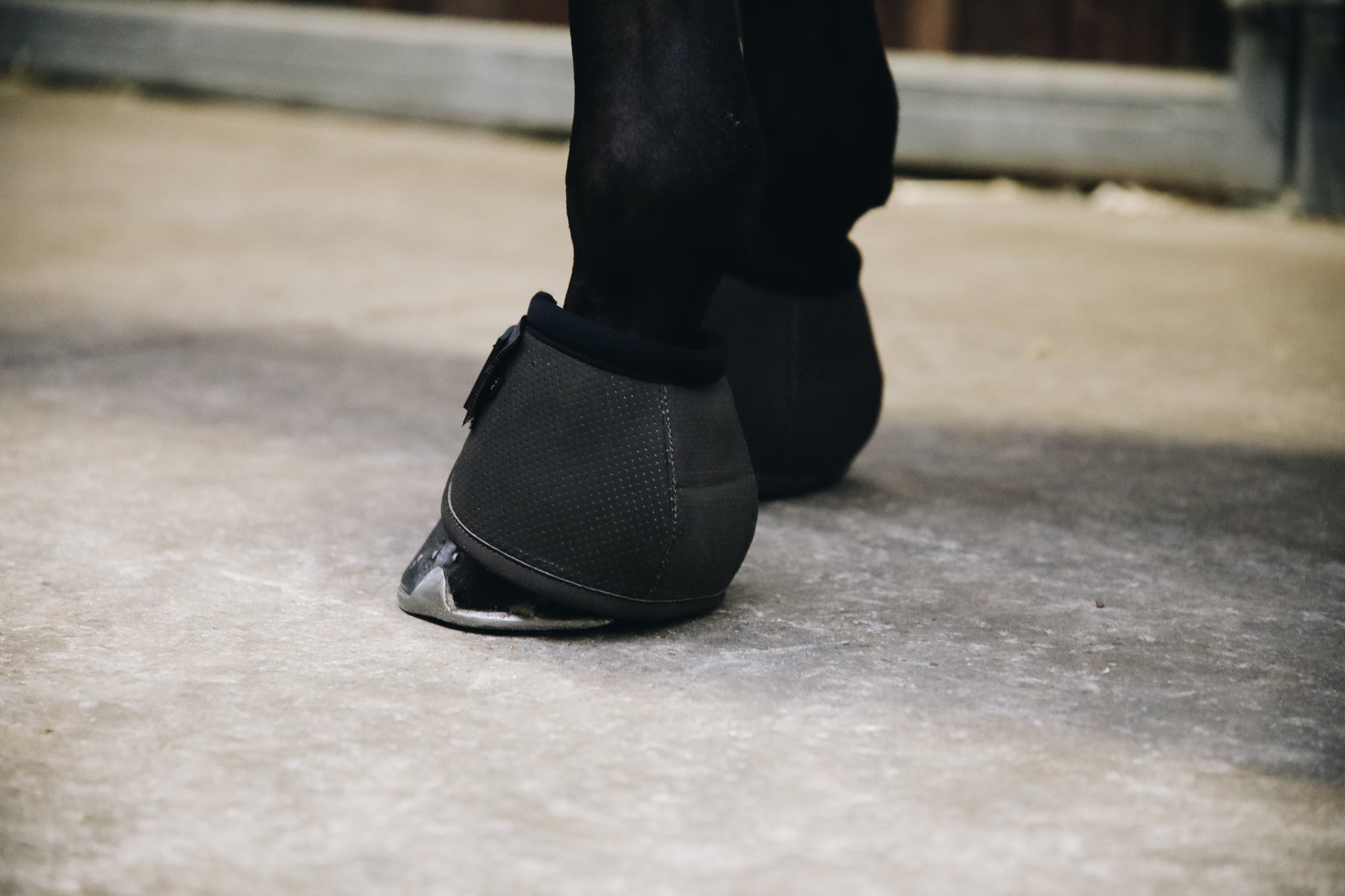 The Kentucky Horsewear Air Tech Over Reach Boots offer vital protection for your horse. Made with shock absorbing gel these are perfect procreation for your horse. The Air Tech Over Reach Boots provide excellent shock absorption and protection against over reaches.
