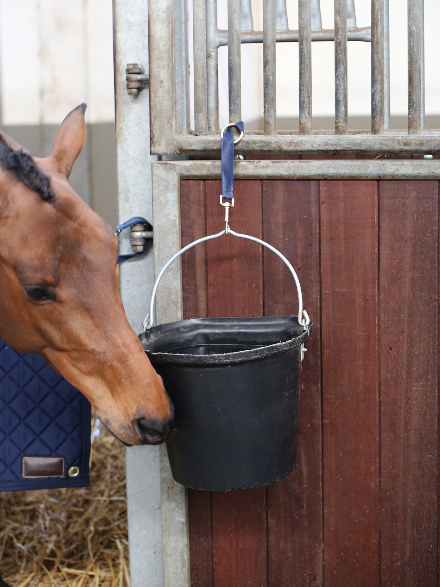 Kentucky’s Strong and durable nylon bucket hook with gold hoop and clip for fastening.