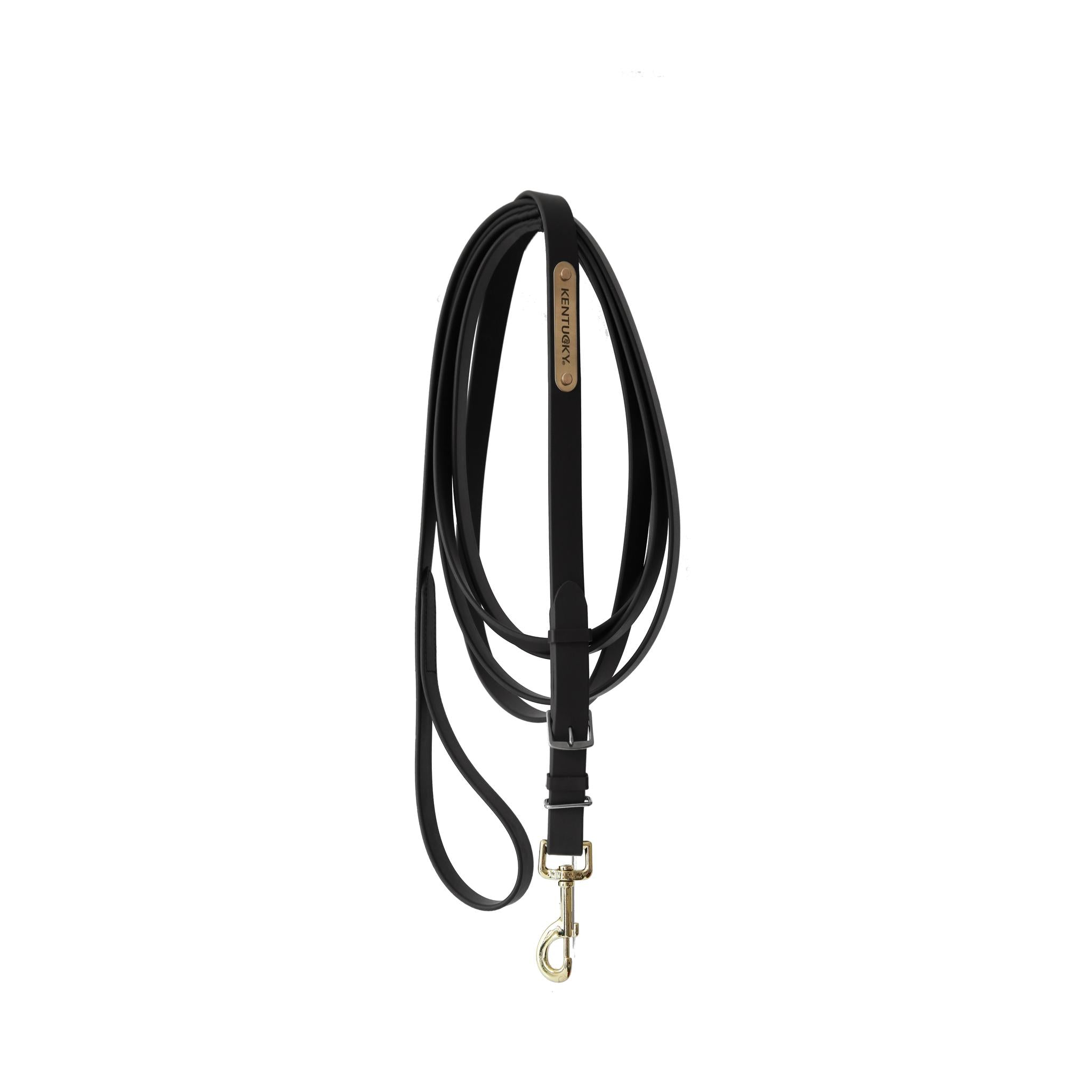 The Kentucky stallion lead is the perfect lead reign for any lively horse. With 4 metres in length it gives you plenty of control.