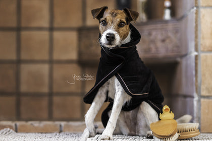 The Kentucky Dog Coat Towel comes very handy to dry your dog after a bath or a rainy walk. The dog cot is made of 100% microfiber polyester which helps absorb humidity faster. This coat features three hook and loop closures for the neck, belly, and front.