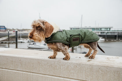 The Kentucky Green Waterproof Dog Coat offers every dog a dry, warm rug during the cold and wet winter days. Filled with a warming 160g and also featuring an artificial faux fur lining for extra comfort. This also creates tiny air pockets that trap and retain the body heat of the dog.