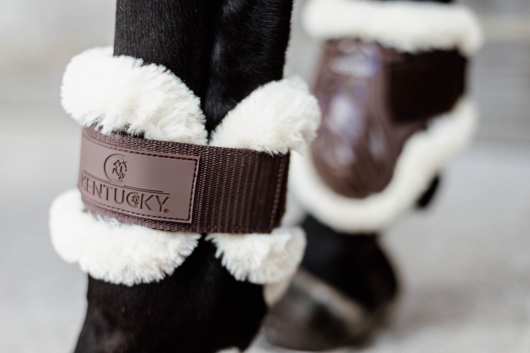 Kentucky Brown Sheepskin Young Horse Fetlock Boots Air