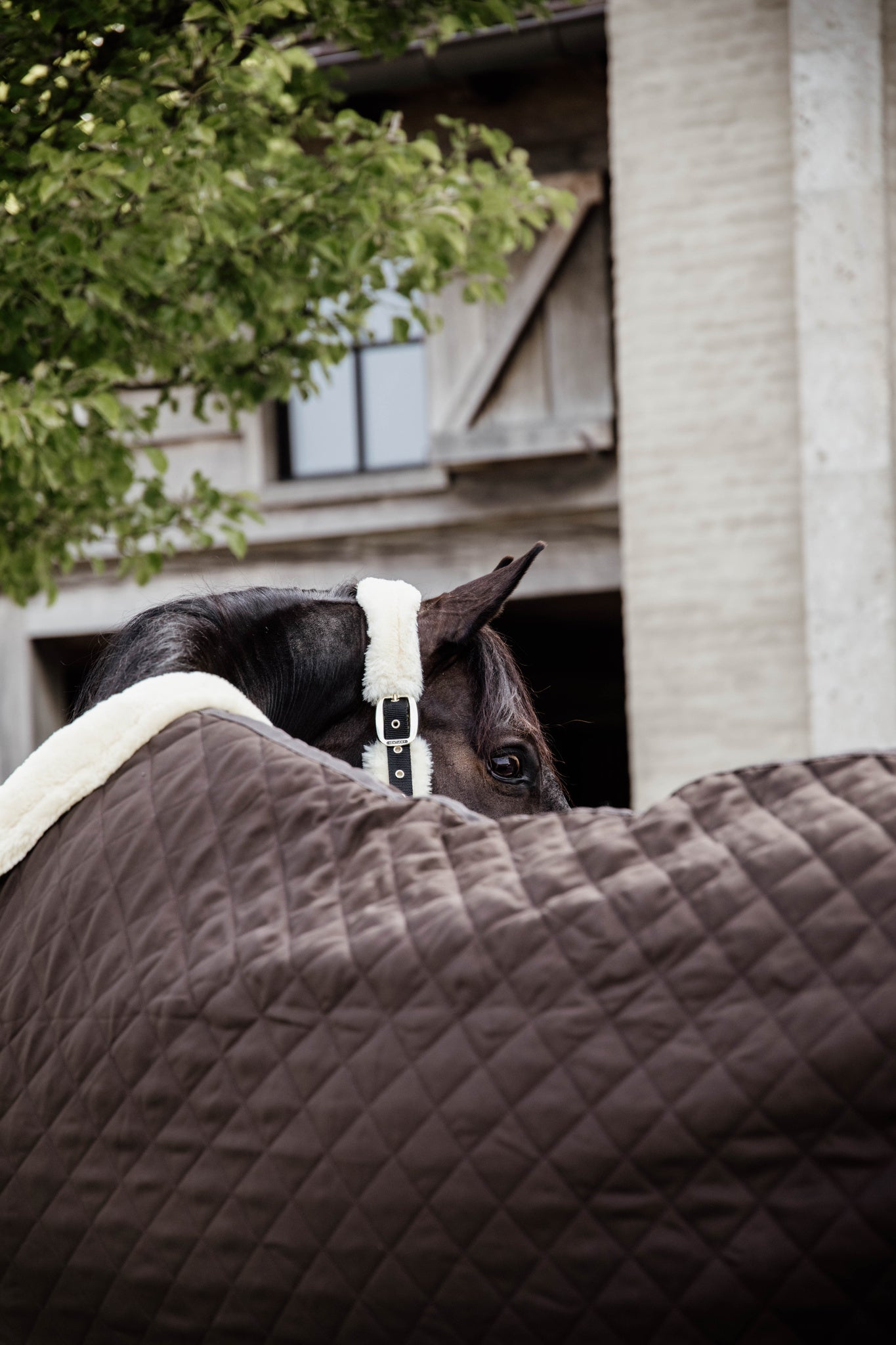 The Show Rug is one of Kentucky’s most iconic products. The rug was designed to have an easy and comfortable rug on competitions. Therefore, the rug is easily adjustable to the needs of your horse. The sophisticated look of the show rug will catch everyone’s eyes at competitions. As the Show Rug also serves as a stable rug, you can unload your horse without worrying about changing rugs.