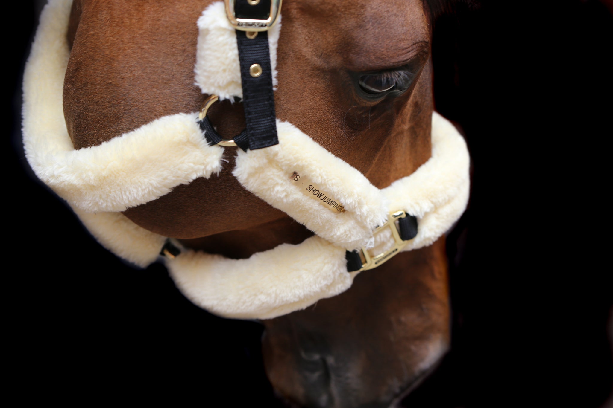 The Kentucky Horsewear Sheepskin Shipping Halter is an extremely soft and comfortable halter mainly used during transportation.