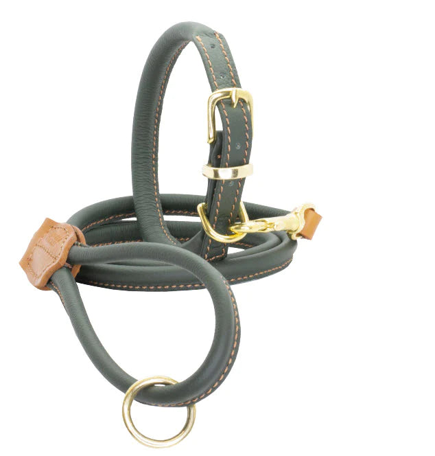 The Dogs and Horses Racing Green Rolled leather Collar is ideal for dogs with long or curly coats. The rolled construction helps to prevent knots forming in the coat (lookin&