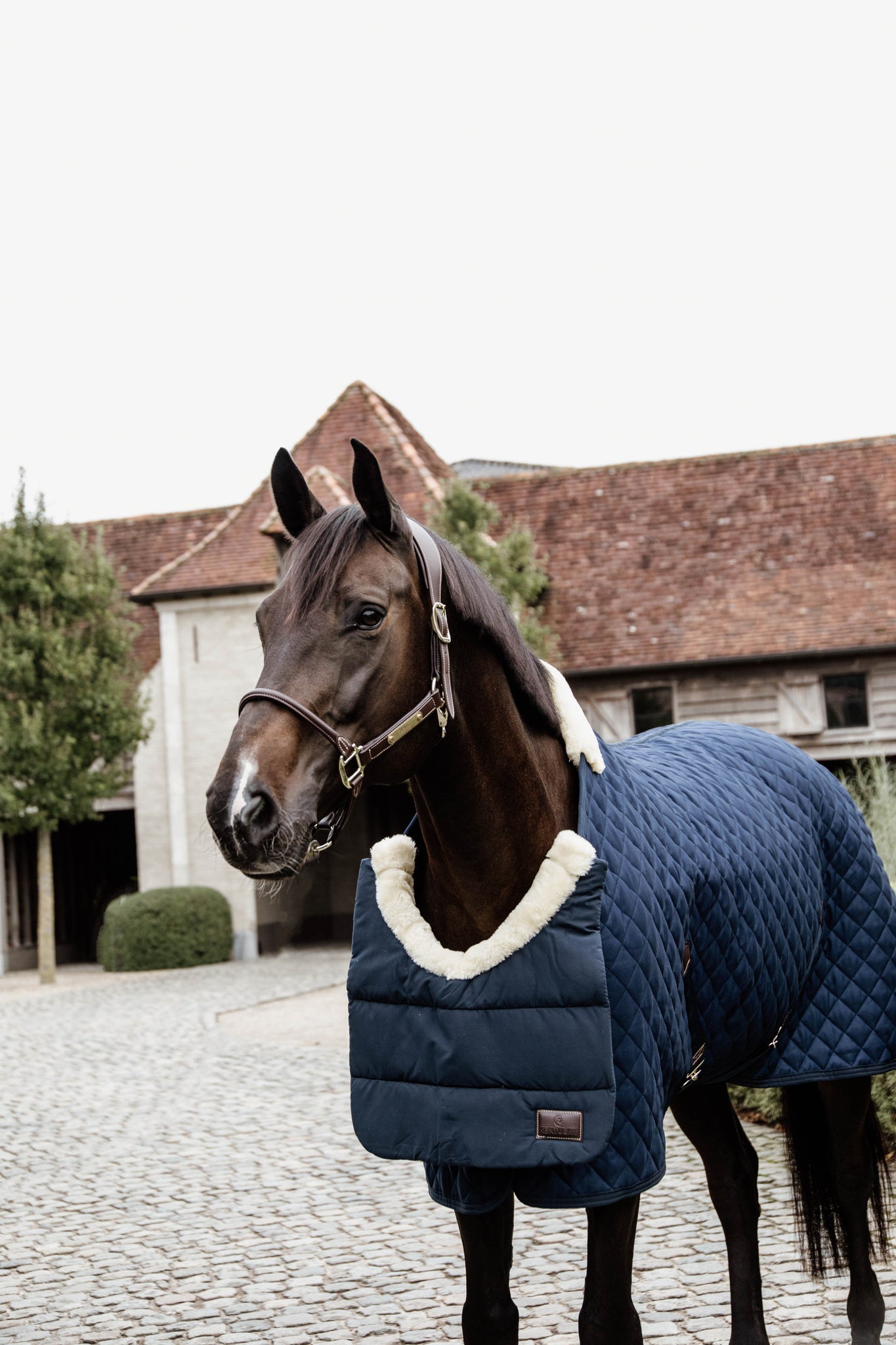The Kentucky bib has been designed to protect your your horse from those annoying rubs caused by rugs. The Kentucky winter bib is the ideal pad to protect your horse’s chest and is lined with luxurious Faux sheepskin.