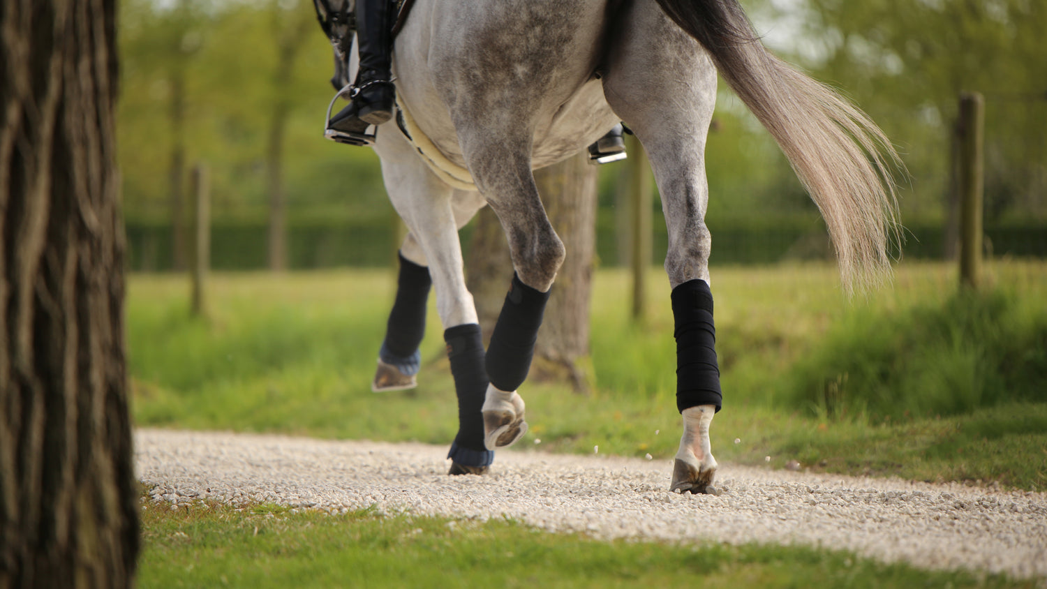 The Kentucky Working Bandage Pads Absorb keep the legs dry and absorbs sweat as well as impacts. Thanks to the breathable fabric, these pads offer better air circulation to prevent over-heating. They don’t slip down and have great cushioning against the skin. They can be used with stable bandages but also as a medical dressing.  Sold in a set of four and easy care, they are specially made to sustain the washing machine at 30° (no dryer)  45 x 40 cm   Navy