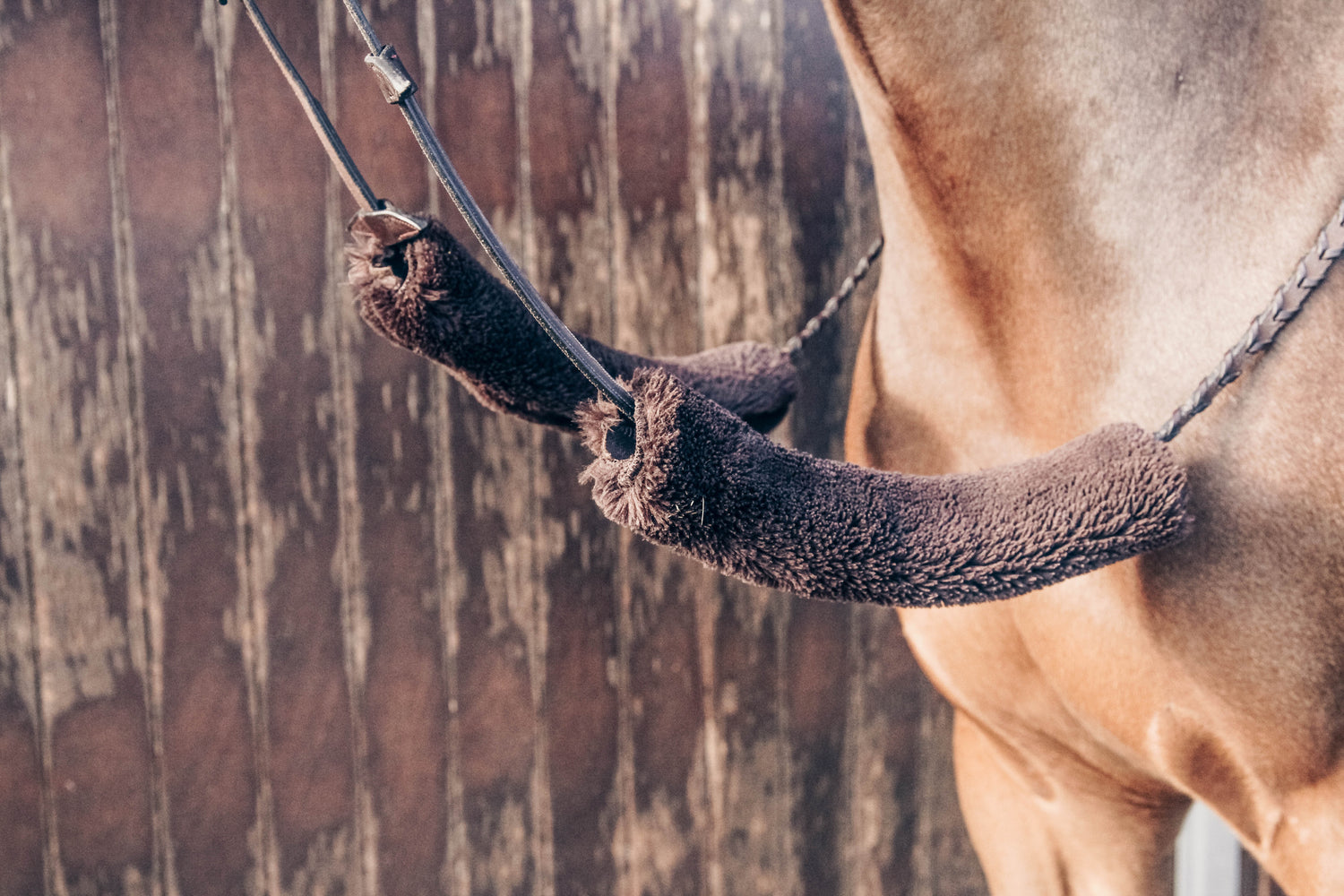 Kentucky Sheepskin Nose Band Cover