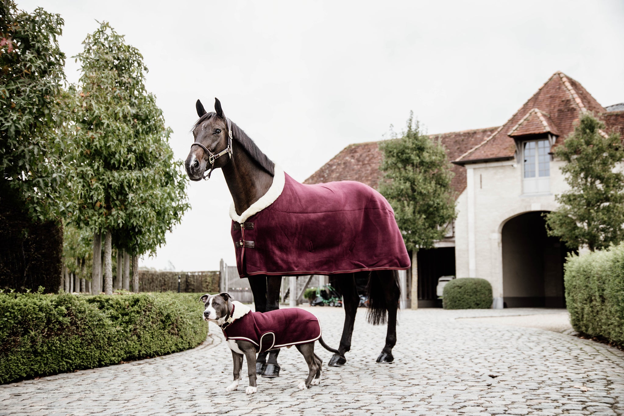 Kentucky Fleece Show Rug Heavy – Bordeaux The Heavyweight Fleece Show Rug in Bordeaux is NEW for 2020. With all the same characteristics of the original Heavyweight Fleece Show Rug, the Bordeaux will be sort after this year. With the look and hand feel of the authentic wool rug, without all the inconveniences that a wool rug can have.
