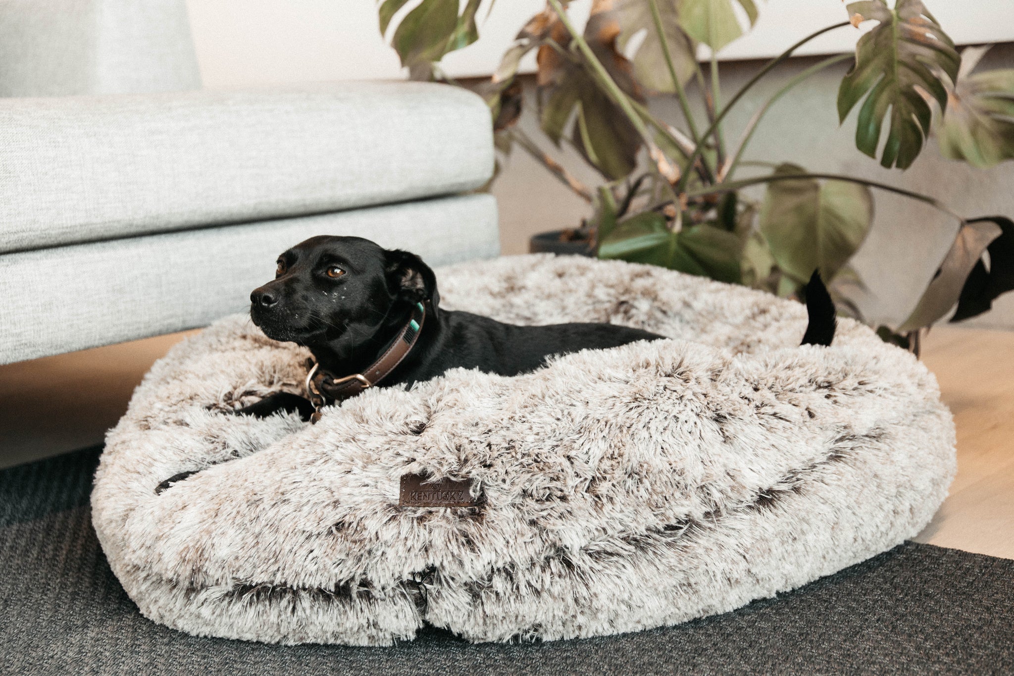 The Kentucky Comfort Donut dog bed has been specially designed to help your dog relax and sleep peacefully. Its donut shape and comfortable fake fur makes the dog feels secure like in a nest, providing ultimate relaxation.