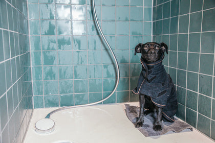 The Kentucky Dog Coat Towel comes very handy to dry your dog after a bath or a rainy walk. The dog cot is made of 100% microfiber polyester which helps absorb humidity faster. This coat features three hook and loop closures for the neck, belly, and front.