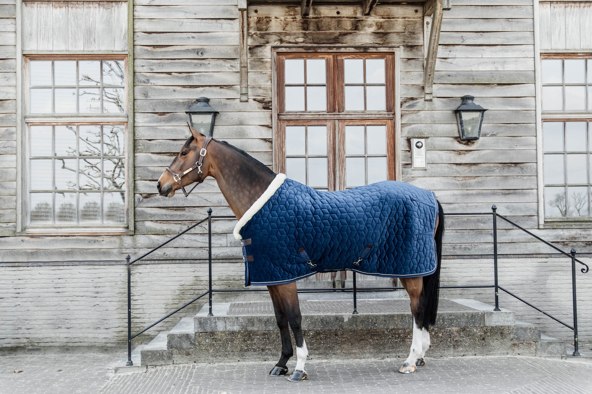 Kentucky Blue Velvet Show Rug