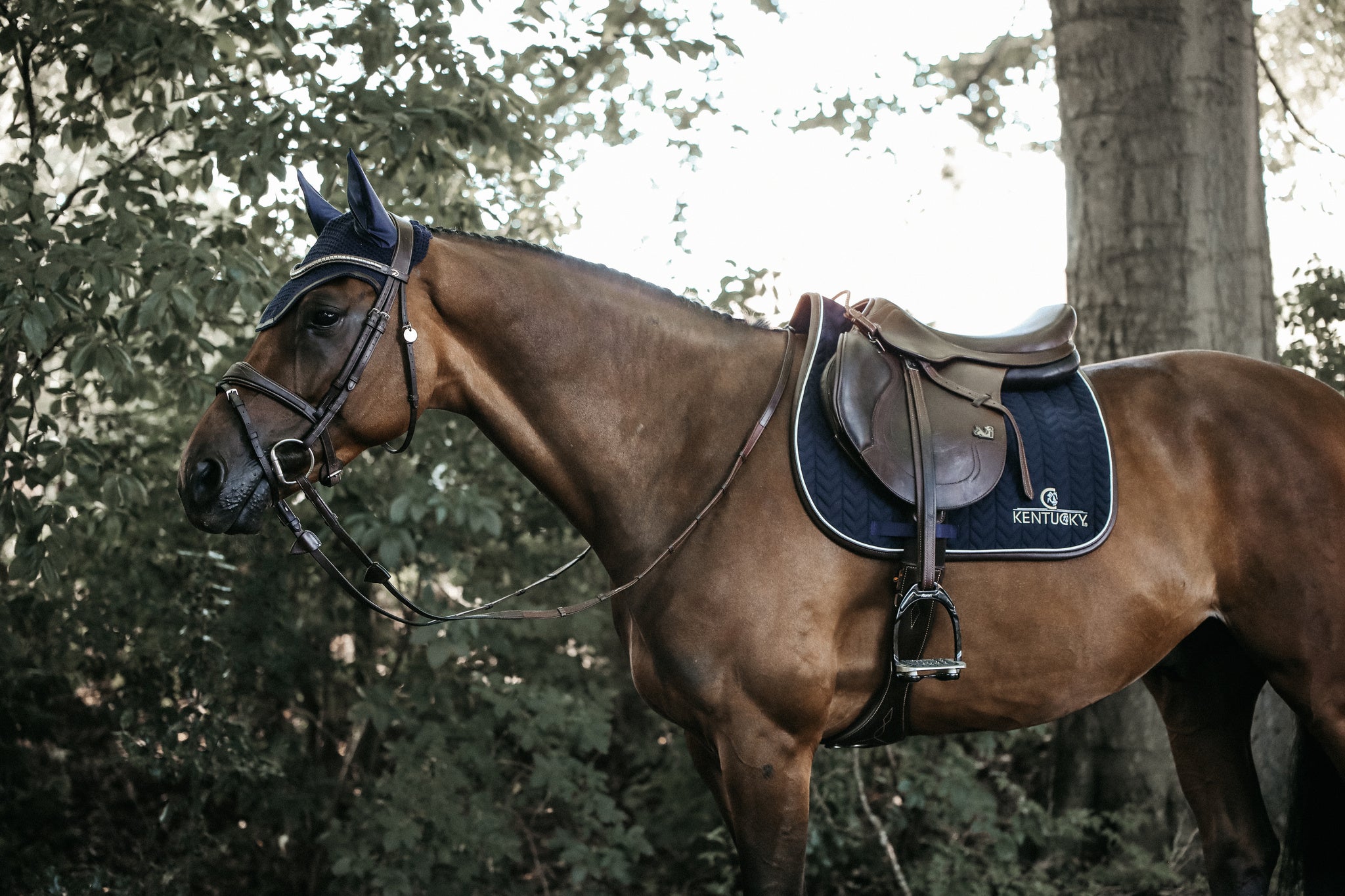 Our Saddle Pad Leather Fishbone is shaped for jumping and provides excellent cushioning between the horse’s back and the saddle while protecting against friction. This saddle pad has a unique fishbone quilting. It has no annoying straps to attach to the saddle, only a nylon strap for the girth. The Saddle Pad Leather Fishbone features a very classy leather binding and the stylish Kentucky logo