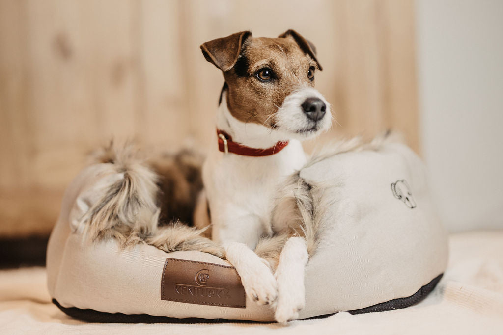 The Kentucky Dog Bed Cave will make your dog feel very cozy and spoiled. Made of comfortable and super soft racoon faux fur on the inside, this bed will ensure your dog feels snug when curling up for a snooze.