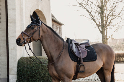 Kentucky’s Saddle Pad Glitter Stone jumping pad is stunning. The stones ooze sophistication and style. The pad is shaped for jumping and provides excellent cushioning between the horse while protecting against friction.