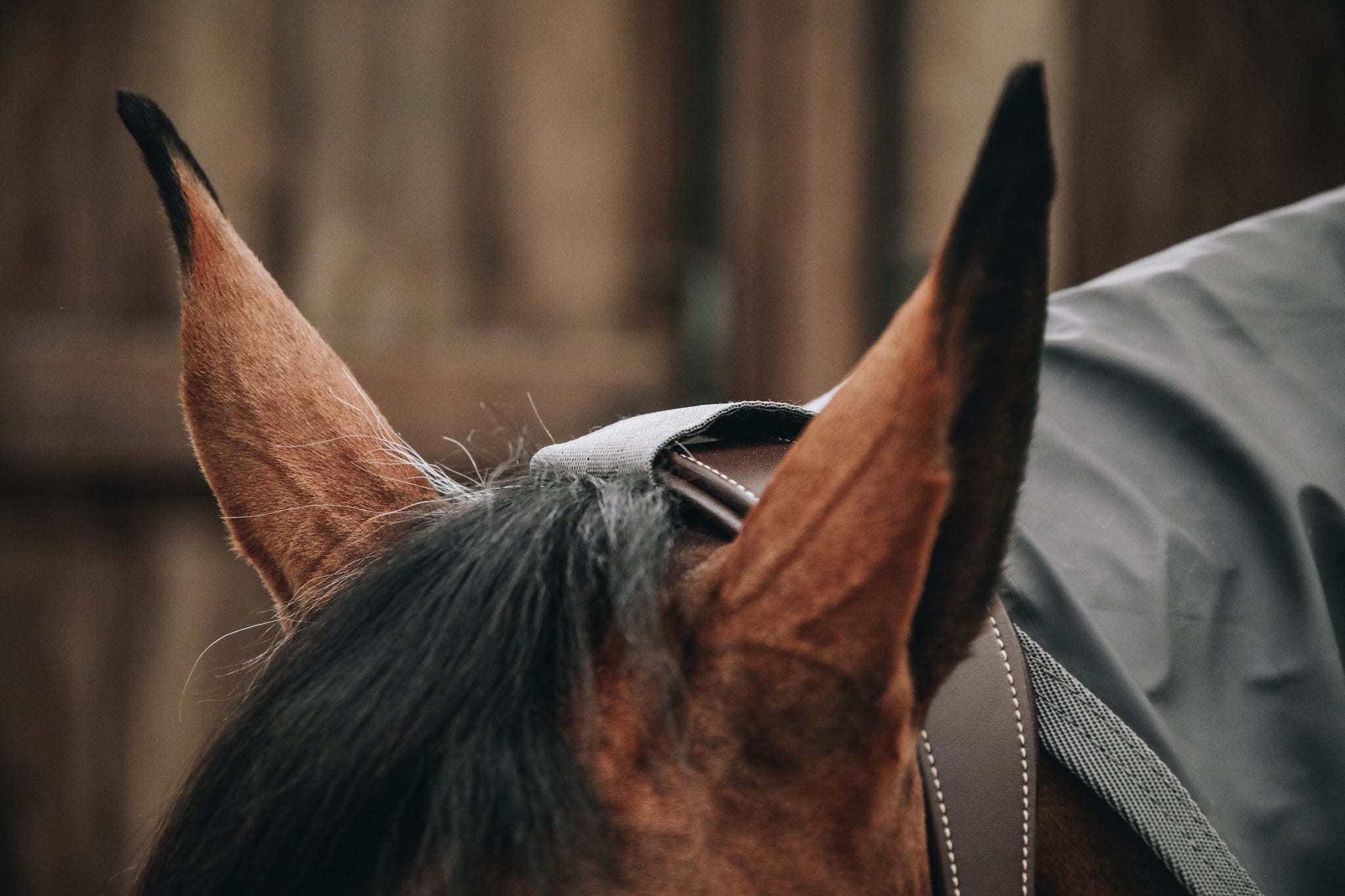 The Kentucky Rain Coat is a must have for every competition rider to protect his horse and his expensive tack against heavy rain. It is compact, lightweight and 100% waterproof. It is easy to put over another rug or saddle while walking the horse on rainy days. The material is 100% polyester with a PU coating on the outside and will guarantee your rug to be 100% waterproof.