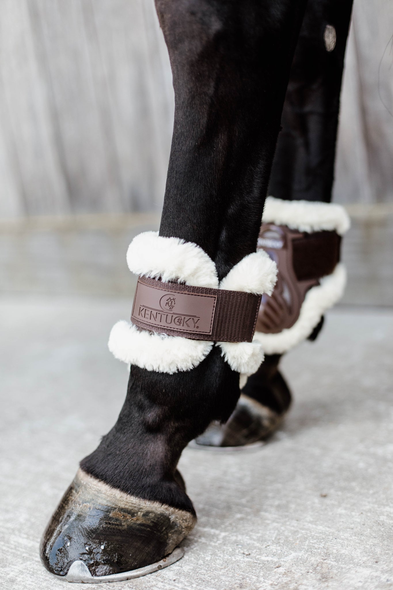 Kentucky Brown Sheepskin Young Horse Fetlock Boots Air