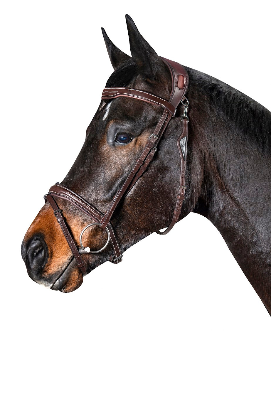 The JP anatomical bridge by Equiline. Made in beautiful Italian leather and available in Black and Brown with white stitching.