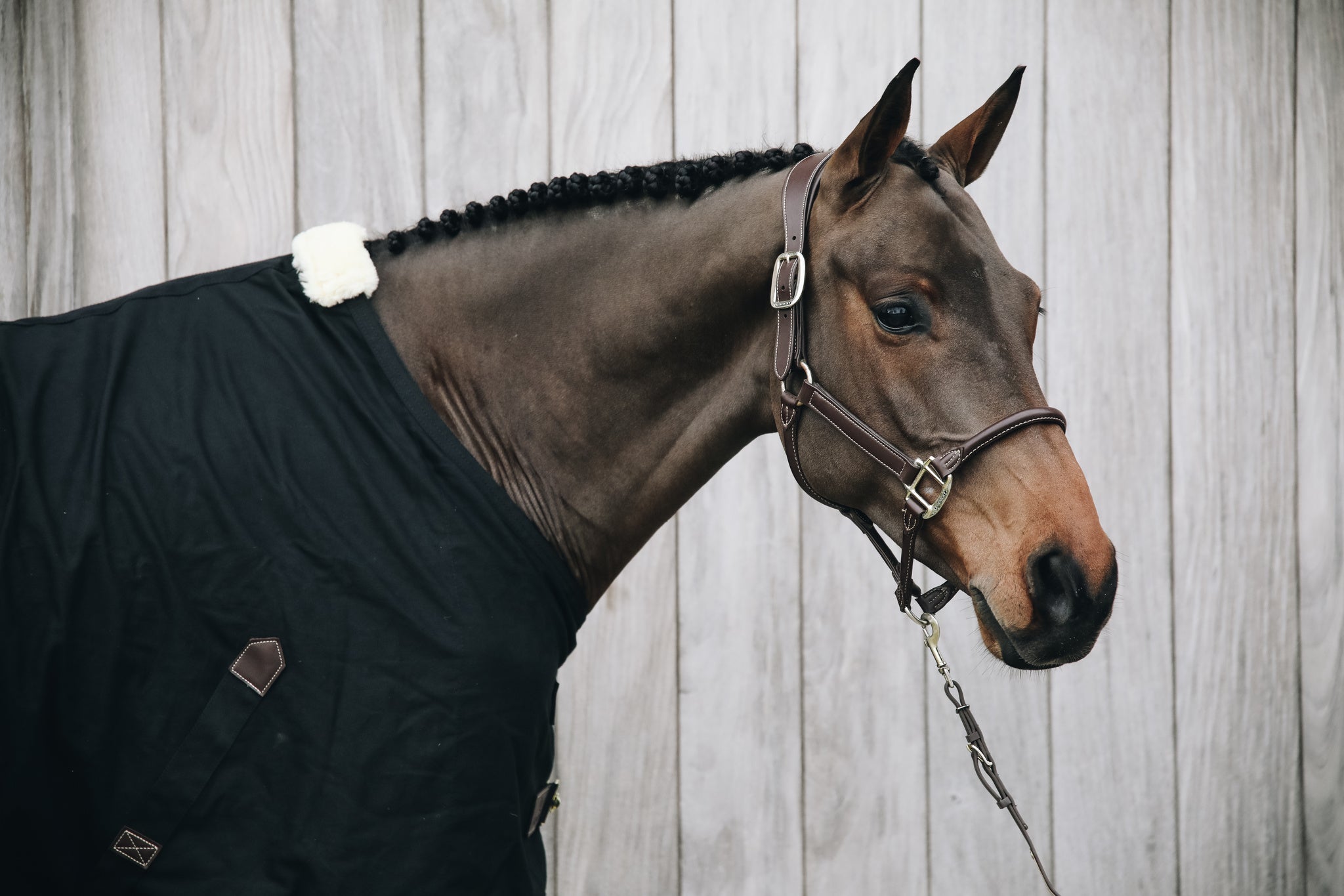 The Kentucky cotton sheet is perfect as the weather gets warmer. The Cotton Sheet is a practical lightweight luxury horse rug that will keep your horse comfortable during the summer months. Fitted with Kentucky’s soft artificial sheepskin which is added to the wither only which provides extra comfort and protection for your horse.