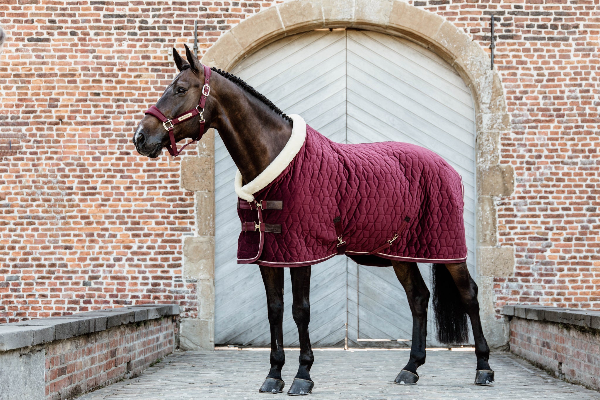 Kentucky Burgundy Velvet Show Rug