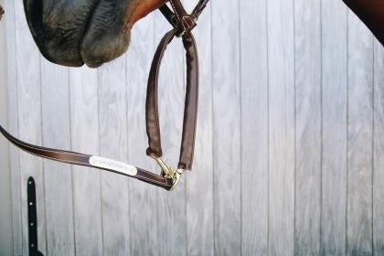 The Kentucky leather covered chain lead in brown. This lead has the control and strength of the stallion chain lead but is cased in artificial leather for a softer feel.