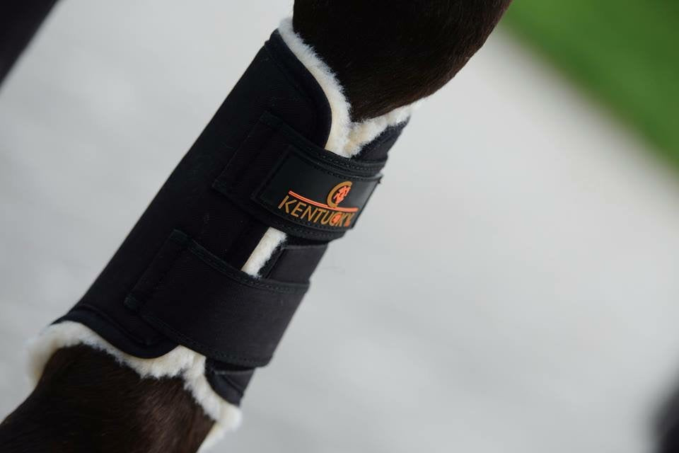 These Kentucky boots can be used for exercise or turnout making them very versatile. They are breathable, durable and waterproof so will withstand the winter weather and help keep your horses legs safe, warm and dry.