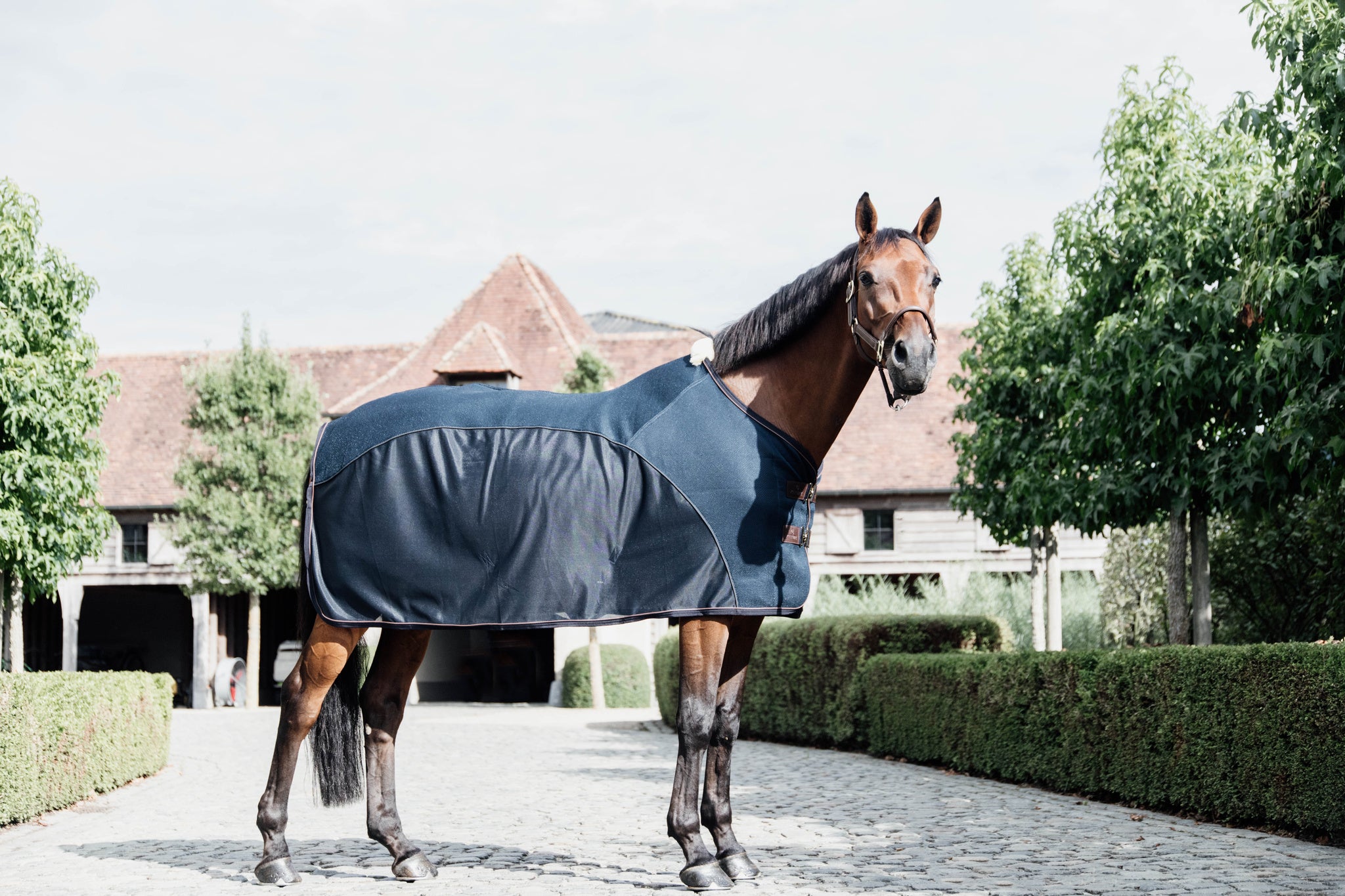 Kentucky Mesh Combo Cooler Sheet
