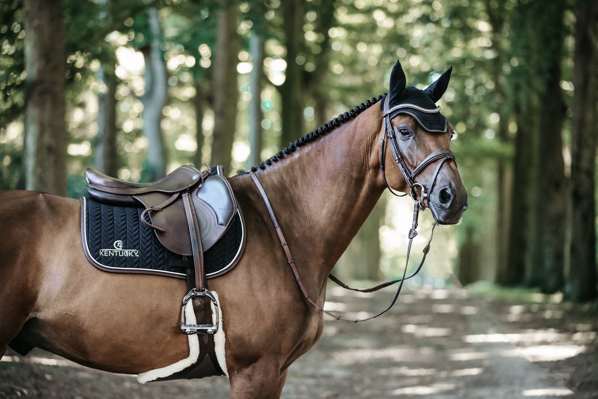 Our Saddle Pad Leather Fishbone is shaped for jumping and provides excellent cushioning between the horse’s back and the saddle while protecting against friction. This saddle pad has a unique fishbone quilting. It has no annoying straps to attach to the saddle, only a nylon strap for the girth. The Saddle Pad Leather Fishbone features a very classy leather binding and the stylish Kentucky logo