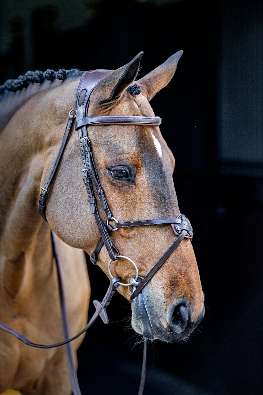 Equiline bridles, martingales chest pieces and reins available 
