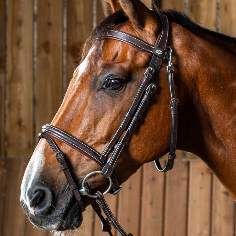 Dyon bridles and leatherwork for your horse