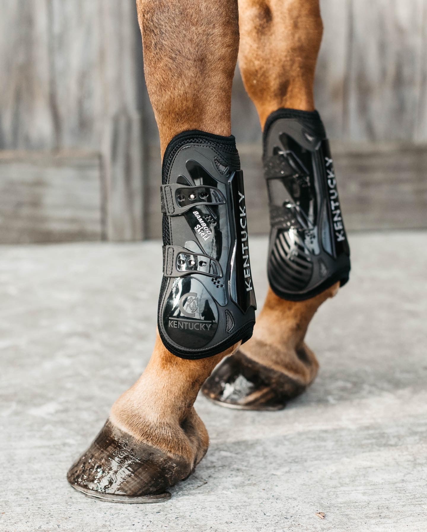 Jumping boots, brushing boots, bandages magnetic boots, ice boots and travelling boots with stable and exercise bandages from Kentucky