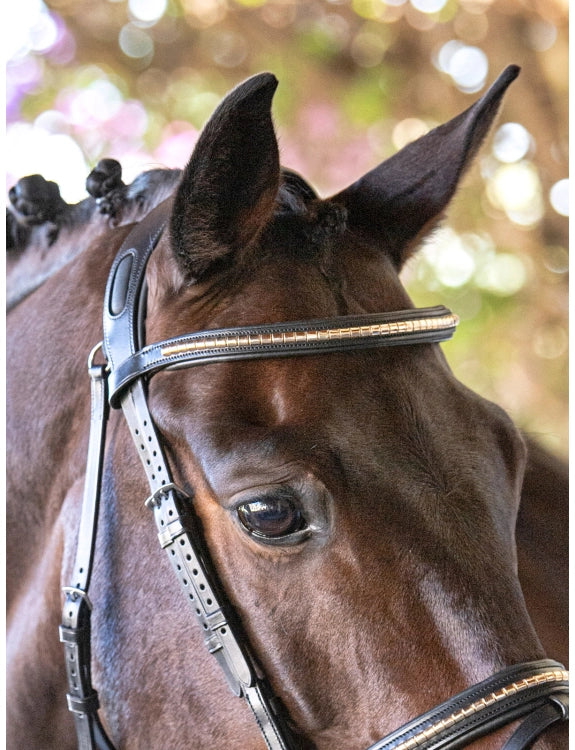 Equiline Clincher Browband