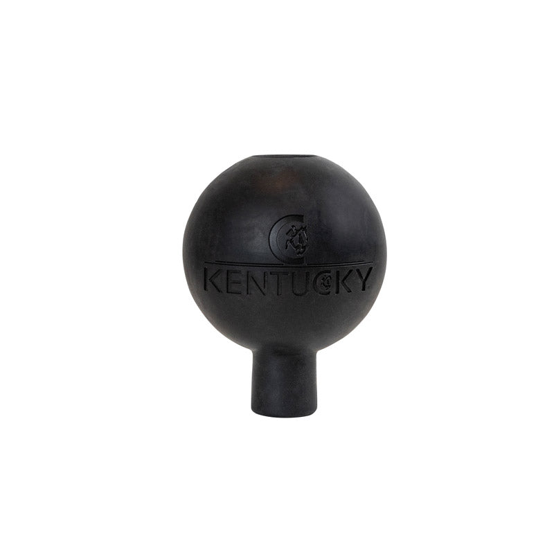 Kentucky Rubber Ball Wall and Lead Protector