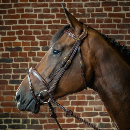 Dy’on Collection Anatomic Flash Noseband Bridle