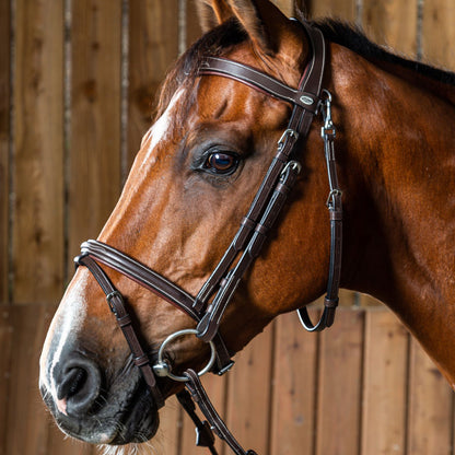 Dy’on Working Collection Fancy Flash Bridle