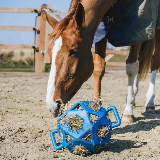 Kentucky Horsewear Relax Play Toy Hay Ball