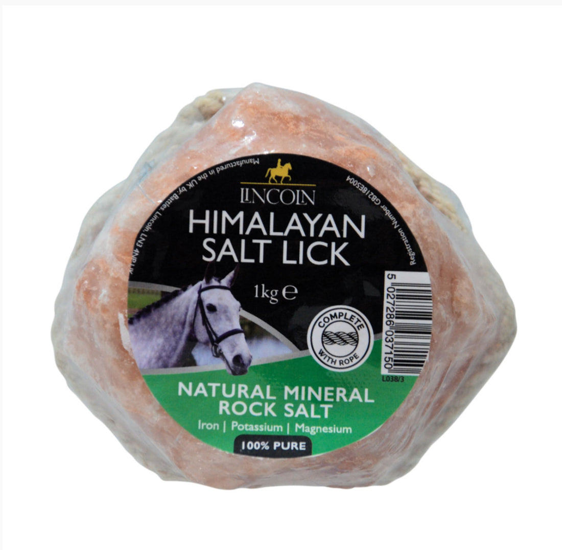 Lincoln Himalayan Salt Lick