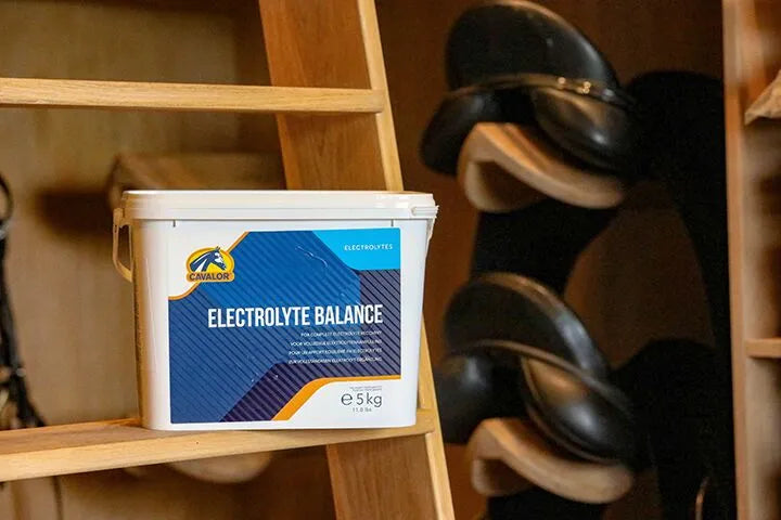 Cavalor Electrolyte Balance