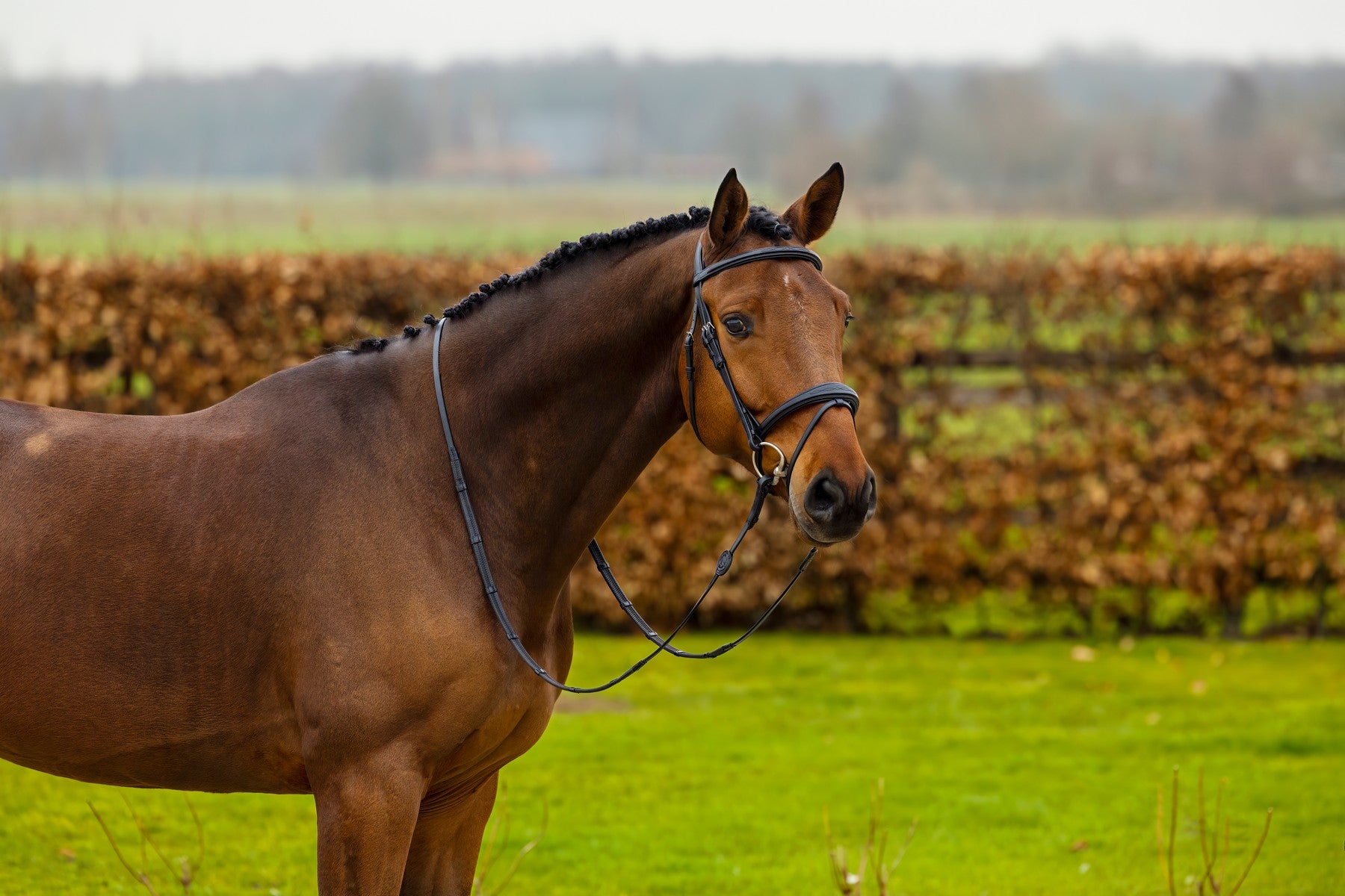 Trust Amsterdam Leather Bridle