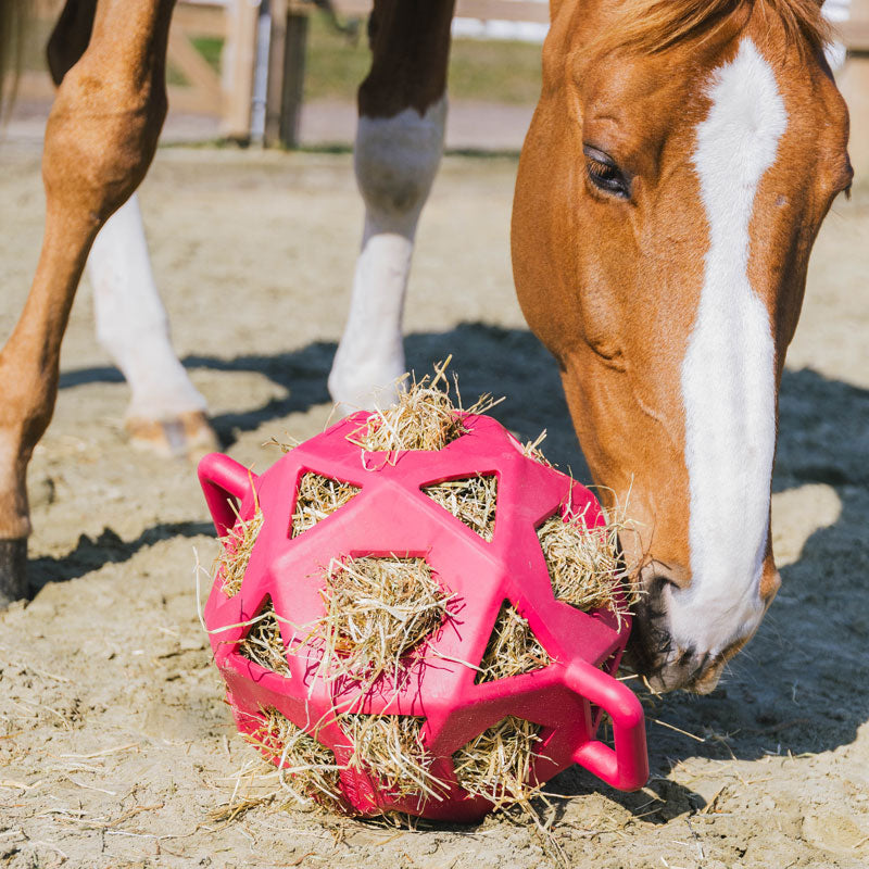 Kentucky Horsewear Relax Play Toy Hay Ball