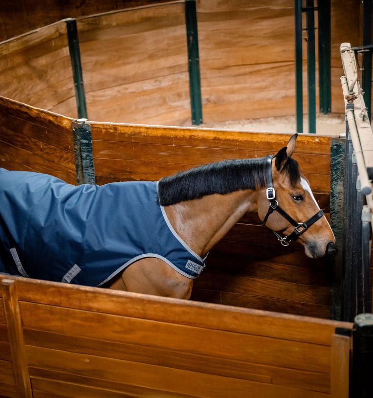 Horseware Amigo® Ripstop 900D Walker Rug 100g