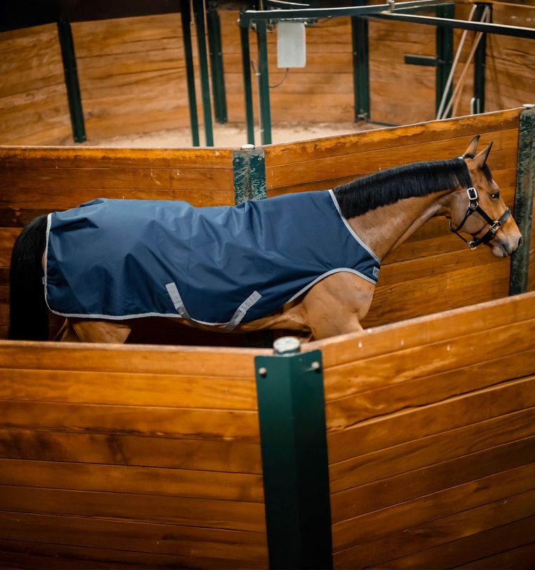 Horseware Amigo® Ripstop 900D Walker Rug 100g