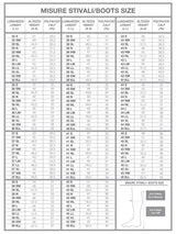 Animo Zodiak leather boots