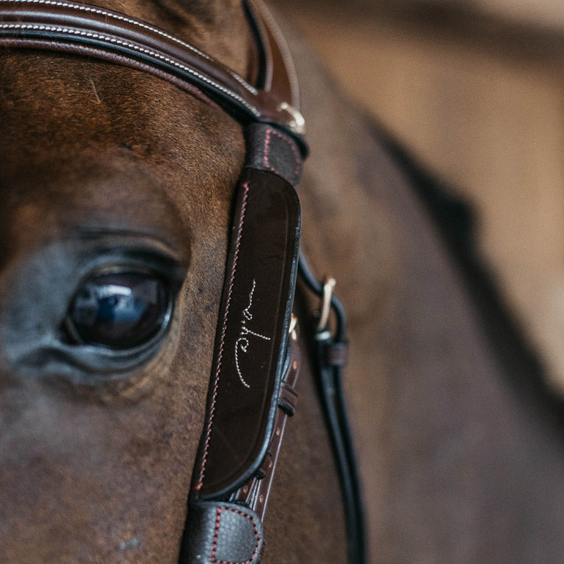 Dy’on Leather Blinkers Fancy