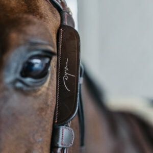 Dy’on Leather Blinkers Fancy