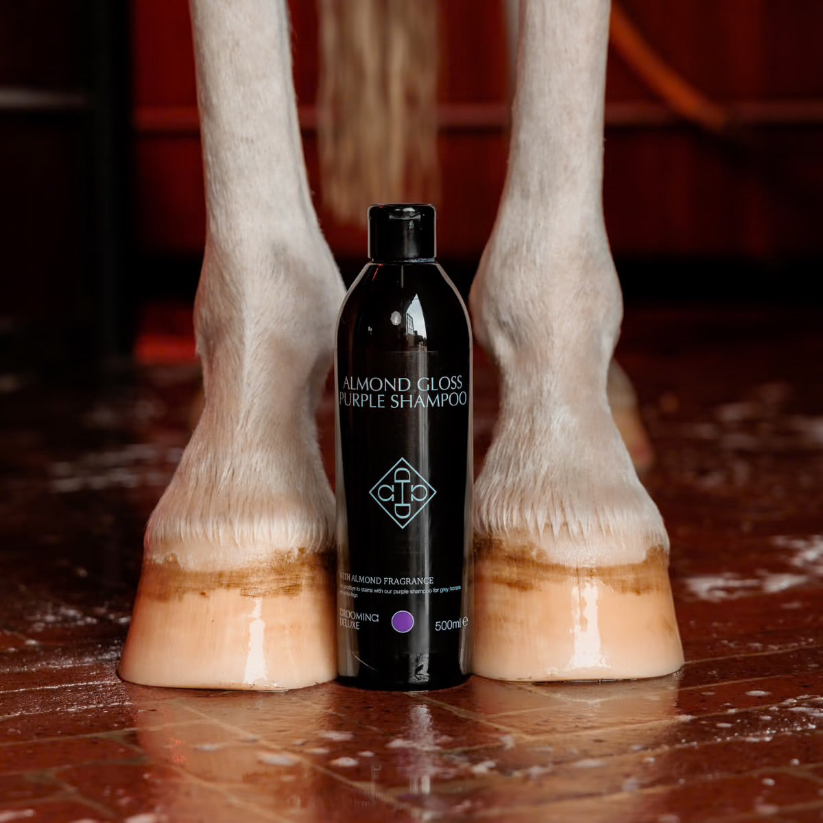 Kentucky Grooming Deluxe Almond Gloss Purple Shampoo
